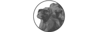 silent cinema logo